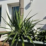 Et Soleil Avec Terrasse, En Centre-ville, Parking