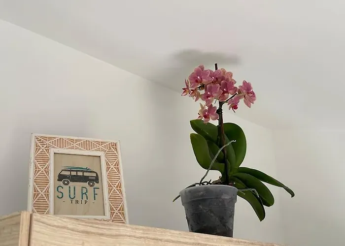 Et Soleil Avec Terrasse, En Centre-ville, Parking Semesterbostad La Tranche-sur-Mer