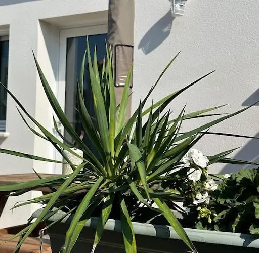 Et Soleil Avec Terrasse, En Centre-ville, Parking