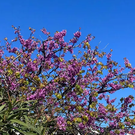 Vakantiehuis Et Soleil Avec Terrasse, En Centre-ville, Parking La Tranche-sur-Mer