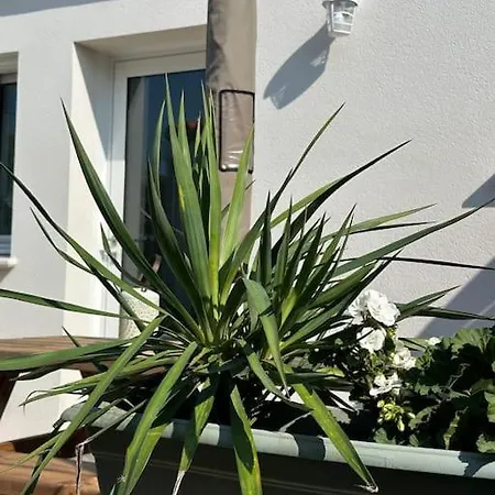 Et Soleil Avec Terrasse, En Centre-ville, Parking