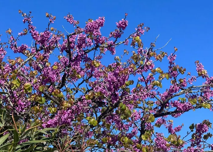 펜션 Et Soleil Avec Terrasse, En Centre-ville, Parking 라트슈수르메르